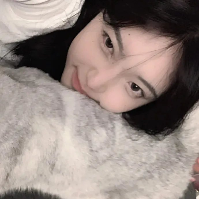 禁宫龙虎斗